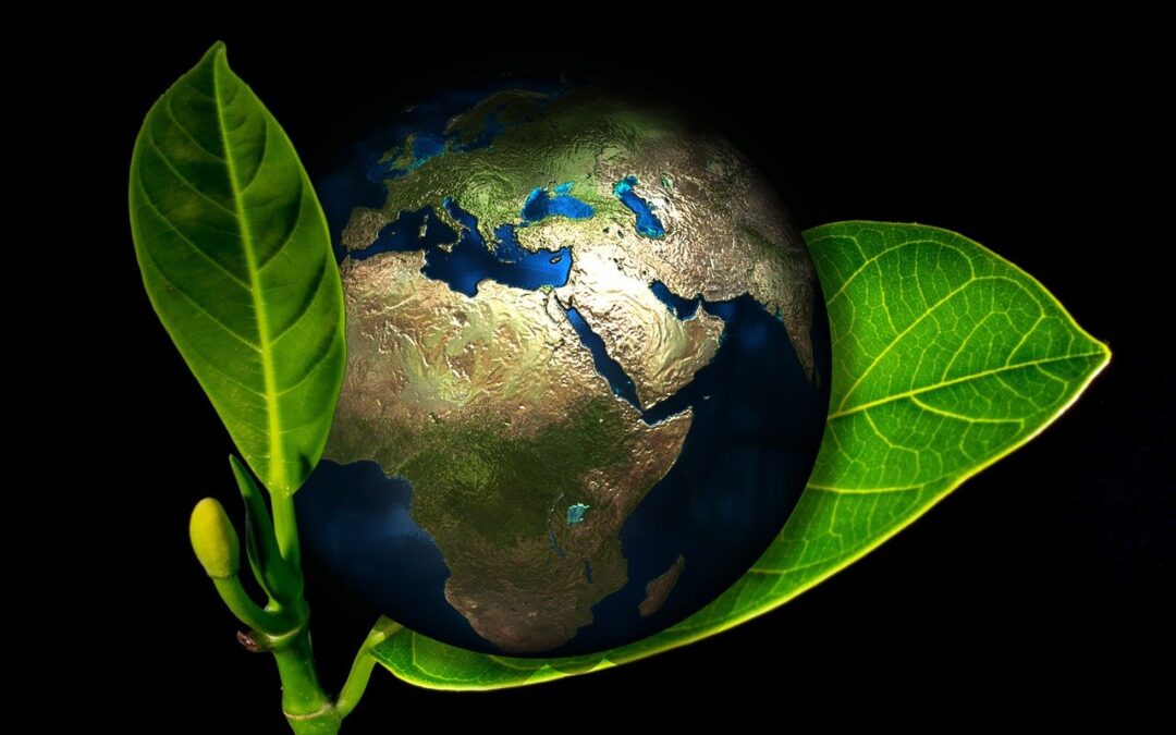 Graphic of earth sitting on a green plant image for Green building