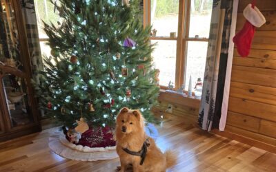 Celebrating Christmas in a Log Home