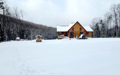 The Timeless Energy Efficiency of Log Homes